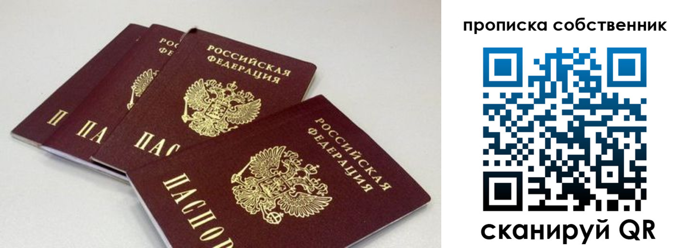 где прописаться в Светлограде